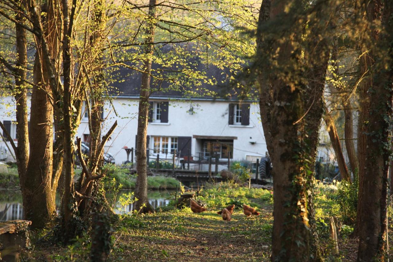 Fleurs De Brenne Gite Neuille-le-Lierre Exterior photo